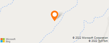 Insurance Company Near Me - Pancho Alcon Ltd