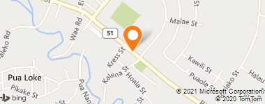 Insurance Company Near Me - Punua Insurance Agency