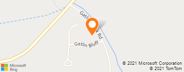 Insurance Company Near Me - Wise Jim