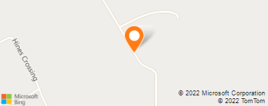 Insurance Company Near Me - Adams Insurance Agency - Teresa Wilks Adams Agent