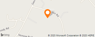 Insurance Company Near Me - Wilson Evelyn