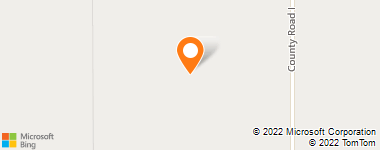 Insurance Company Near Me - Black Gayle Insurance