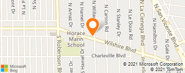 Insurance Company Near Me - Trace Ins Services Hamid Arastoozad