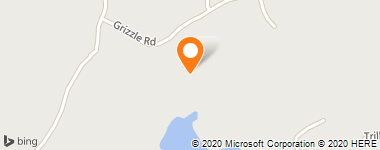 Insurance Company Near Me - M G Thomas & Associates Inc