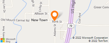 Insurance Company Near Me - Alfa Insurance