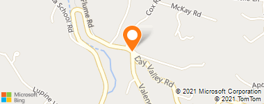 Insurance Company Near Me - Nelson Insurance Services