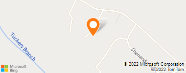 Insurance Company Near Me - Worthy Joe