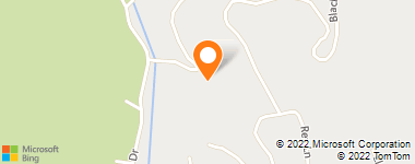 Insurance Company Near Me - Pine Country Bear Service