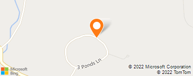 Insurance Company Near Me - Plica