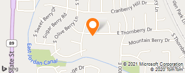 Insurance Company Near Me - Wise Services Insurance Agency
