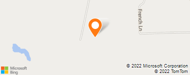 Insurance Company Near Me - Accurate Appraisal Service