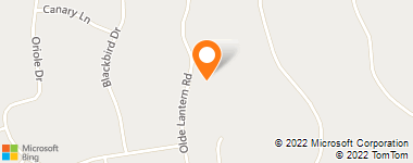 Insurance Company Near Me - American International Group