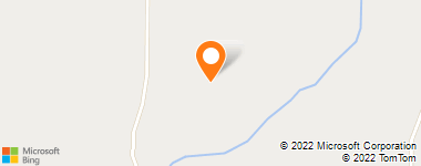 Insurance Company Near Me - Insure Agency