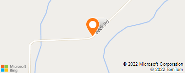 Insurance Company Near Me - Johanson Linda