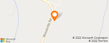 Insurance Company Near Me - Waldon Tot