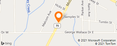 Insurance Company Near Me - Alfa Insurance