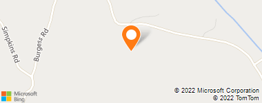 Insurance Company Near Me - Wall Murray & Co