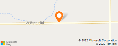Insurance Company Near Me - Wicke Art